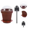 Jardinières 20 ensembles Pot de pépinière petits pots de fleurs de gâteau tasses de yaourt Dessert Cupcake boisson verre sodocalcique Mini jardinières en plastique