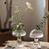 Vases Creative Bougeoir En Verre Mignon Champignon Forme Verre Fleur Vase Hydroponique Plante Pot