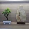 Decorative Flowers Garden Arrangement Ornaments Plastic Plants Bonsai Small Tree Pot Fake Plant Potted Flower Home Room Table Decoration