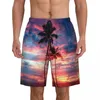 Herrshorts Hawaii Gym Summer Casual Tropics Classic Beach Male Sports Quick Dry Swim Trunks