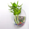 Jardinières Pot de plante Transparent mural suspendu réservoir de poisson fleur Vase rond Pot acrylique bol bulle Aquarium maison Pot de plante Durable