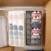 Sacos de armazenamento Luluhut Saco de suspensão de parede Organizador de guarda-roupa Double Side Underwear Sutiã Meias Classificando Bolsa de Quarto