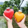 Caffettiere 10 pezzi 300 ml Bottiglie di plastica a forma di cuore per contenitori di stoccaggio di bevande Bottiglia di acqua potabile con tappi di coperchio