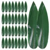 Ensemble de vaisselle 100 PCS Sushi Bamboo Feuilles décoratives Ornement de feuille Plat de plateau de service décorations d'assiettes ornées