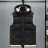 Mens Vests 디자이너 더 보통 조끼 남성 허리 코트 남성 겨울 다운 조끼 조끼 유니탄 커플 보디 워머 여자 Mans 재킷 슬립 벨리즈 야외 따뜻한 겨울 자켓