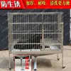 Porte-chats en acier inoxydable, cage pour chien, moyenne et grande, Double Cage, porte pour animaux de compagnie avec cloison