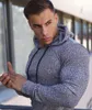 New Spring Fi Maglioni con cappuccio Uomo Casual Maglioni dolcevita Slim Fit Sport Pullover Uomo Maglione Palestra Maglieria Pull Homme 21eg #