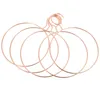 Hangers 5pcs Round Ties Rack Clothes Pegs Scarf Metal Tie Organizer Holder Hook Towels Hanger ( Rose )