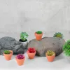 Planters BESTONZON 20Pcs Small Mini Terracotta Pot Clay Ceramic Pottery Planter Flower Pots Succulent Nursery Pots Great for Plant