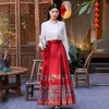 Shenzhen high end Hanfu häst ansiktskjol tung industri broderi kinesisk stil halva