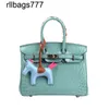 Bag Designer Leather Bk Handbag French Spring and Summer Crocodile Pattern Platinum One Shoulder Messenger Luxury Small Women's