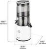 Presse-agrumes Le presse-agrumes Omega est facile à nettoyer et peut presser lentement les légumes.Extracteurs de jus de série sans effort.Extraction de jus par lots.Grande trémie à matériauxL2403