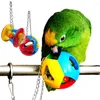 Andere Vogelbenodigdheden Papegaai Kauwen Huisdierenbeten Schommelkooi Hangende Valkparkiet Parkiet Keten Bal Speelgoed Producten