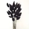 Decorative Flowers 60 Pcs Black Pampas Grass Bouquet Bohemian Dining Table Decoration Tail Dried