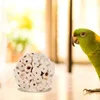 Otros suministros para pájaros 6 piezas Juguete de forraje de loros Conejillo de indias Juguetes para masticar Masticar Triturar Juego de madera Tratos Hamster