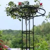 Stöder Rustproof Metal Garden Trellis Flowers Stand Plant Support Rack Paraply Arch Trellis Tower Climbing Plants Support för Vines