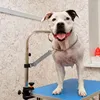 Hundhalsar stabilt bord ljusgrå svängbar klipp trimning grooming arm tillbehör justerbar present groomers förlängningsband husdjur säkert