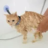 Porte-chats en Nylon pour animaux de compagnie, ventouse fixe, laisse noire, outil de toilettage, Anti-mouvement