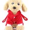 Собачья одежда Красная зимняя фланелевая одежда Бога богатства для ежедневной ношения домашней ходьбы