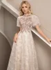 Champagne Women Midi Dres pour l'engagement Vintage High Neck Neck A-Line-Linet Lace Mariage Party Dres 52i5 #