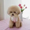 Köpek Giyim Süpreppet Elbiseler Küçük Köpekler Dantelli Sling Puppy Elbise Kız Saf Pamuk Yaz Pet Kedi Giysileri Sevimli Bichon Teddy Giysileri