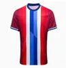 Norvegia 2024 2025 maglia calcistica Haaland Odegaard Strand Larsen Sorloth Berg Ajer Nusa Bobb Ostigard Vetlesen Thorstvedt 24 25 National Team Men Kids Football Shirt