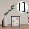 Frames Tafelblad Vitrine Magnetisch Po Frame Plank Gedroogde Bloem