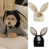 Vêtements pour chiens Chapeau pour animaux de compagnie pour chats chiens oreilles adorables tricoté hiver chaleur confort chapeaux coupe-vent météo