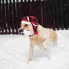 Köpek Giyim 1 PC Büyük Breed Köpekler Beret Rüzgar Yalıtısı Sıradan Kış Sıcak Şapkası (Siyah Kırmızı)