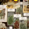 Подарочная упаковка, 100 листов/упак., наклейки с цветами, прозрачные наклейки для домашних животных, украшения растений, скрапбукинг, Ablum, дети