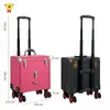 Valigie Custodia per trucco professionale per artista Tattoo Nail Valigia Borsa Trolley con rotelle Bagagli Cosmetici di grande capacità