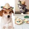 Hundebekleidung, mexikanisches Partyzubehör, Chihuahua-Cosplay-Kleidung, Regenponcho, Sombrero-Hut, Mütze und Kostüm, Mini