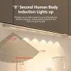 Intelligent Ultra-Thin LED cabinet lamp LED Induction Under Motion Sensor Closet Night light USB charging Wall Lamp For Kitchen Wardrobe lamp