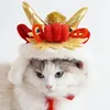 Vêtements pour chiens, chapeau pour animaux de compagnie, bonnet pour 2024 ans, décorations de dragon, Costume chaud, capuche, fêtes pour animaux de compagnie