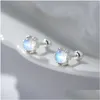 Goujon minimaliste pierre précieuse 925 Sterling Sier goujons pierre de lune élégante petite boucle d'oreille cabochon boucles d'oreilles livraison directe bijoux Dhaiz