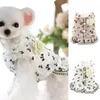 Vêtements pour chiens Jupe pour animaux de compagnie Belle mode Chiot Dentelle Texture douce Vêtements Belle robe pour la fête