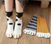 جديد خريف الشتاء Cat Paw Cartoon Pattern Series Cotton Ladies Socks Funny Cute Gut On Christmas Gift for Women9662627