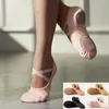 Chaussures de danse pour femmes et filles, pantoufles de Ballet extensibles professionnelles fendues à deux points, semelle souple, toile en tissu élastique