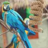 Outros suprimentos de pássaros pendurados corda brinquedo poleiros para gaiolas stand forrageamento brinquedos stands papagaios bungee cord