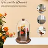 Vases Micro paysage mousse couverture maison Accents décor Terrarium conteneur verre dôme pour plantes avec trou bureau Decore