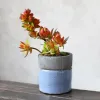 Pflanzgefäße, Desktop-Mini-Keramik-Blumentöpfe, kreative klassische Keramik, glasiert, Großhandelspreis, Blumen-Grün-Blumentopf, ohne Pflanzgefäß