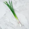 Decorative Flowers Simulated Onions Simulation Green Vegetable Models Pu Decorations Props Artificial