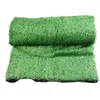 Fleurs décoratives Durable Artificial Grass Mat Lawn 200 200cm DIY Green Micro Landscaping PP PE Simulaté pour l'école