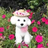 Odzież dla psa Flower Straw Hat Spring Summer Sunhat Śliczne tkane kostiumy akcesoria