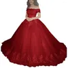 Party Dresses 2024 Ball Gown Tulle Quinceanera Appliques Sweet 16 Long Evening Prom Vestidos de 15 Anos Custom Made