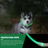 犬の首輪の安全性LEDカラーUSB充電式の輝く猫のライトは、夜のケーブルで点滅する