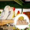 Autres fournitures d'oiseaux Cockatiel Jouets en bois Support en bois pour perroquet Hamster Accessoires Gerbilles Souris Jumping Board Branche Perches Pédale pour animaux de compagnie