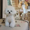 Köpek Giyim Süpreppet Elbiseler Küçük Köpekler Dantelli Sling Puppy Elbise Kız Saf Pamuk Yaz Pet Kedi Giysileri Sevimli Bichon Teddy Giysileri