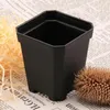 Ciotole 100 pezzi vaso da fiori usa e getta per piante piccolo quadrato nero taglio piantina in plastica