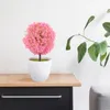 Decorative Flowers 2 Pcs Plant Simulated Potted Office Fake Bonsai Faux Plants Indoor With Pink Artificial For Home Decor